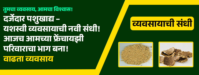 cover page for a fb cow 3